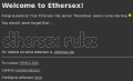 Ethersex2.png